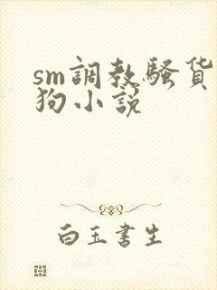 sm调教骚货母狗小说