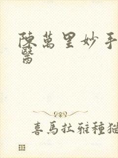 陈万里妙手大仙医封面