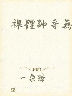 裸体帅哥无遮挡
