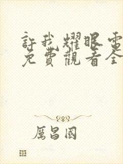 许我耀眼电视剧免费观看全集高清