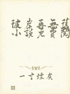 彼岸再无旧时爱小说免费阅读全文封面