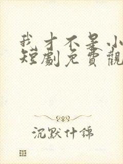 我才不是小可怜短剧免费观看全集