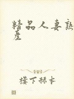 精品人妻熟女国产