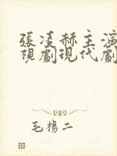 张凌赫主演的电视剧现代剧