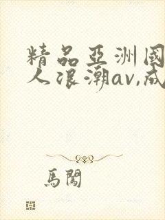 精品亚洲国产成人浪潮av,成人激