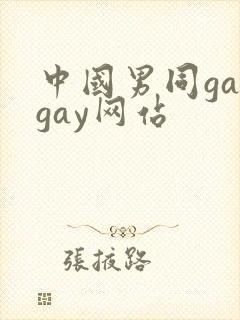 中国男同gaygay网站