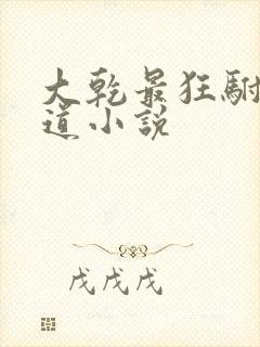 大乾最狂驸马顾道小说