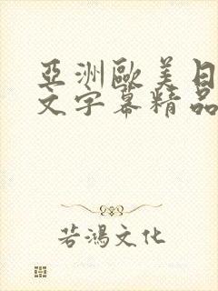 亚洲欧美日韩中文字幕精品封面