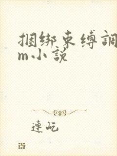 捆绑束缚调教sm小说