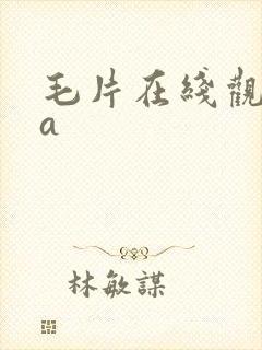 毛片在线观看aa