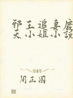 邪王追妻废材逆天小姐小说