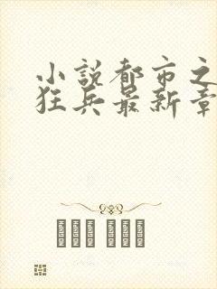 小说都市之最强狂兵最新章节