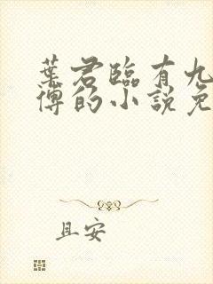 叶君临有九个师傅的小说免费封面