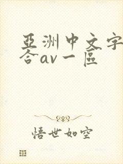 亚洲中文字幕综合av一区