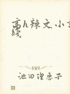 高h辣文小说在线