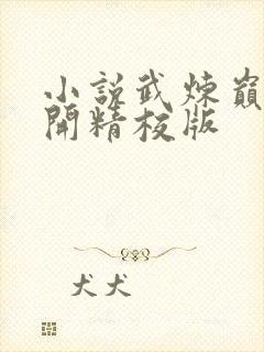 小说武炼巅峰杨开精校版