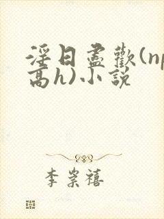 淫日尽欢(np高h)小说
