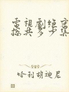 电视剧绝密较量总共多少集