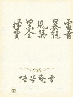 扫黑风暴电影免费全集观看高清