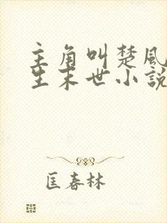 主角叫楚风的重生末世小说