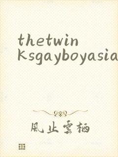 thetwinksgayboyasianchinese封面