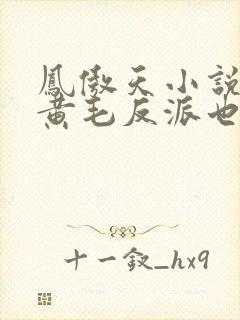 凤傲天小说里的黄毛反派也想要幸福