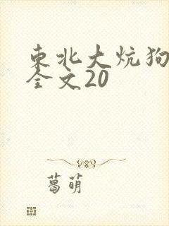 东北大炕狗儿娘全文20