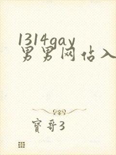 1314gay男男网站入口