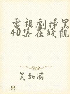 电视剧扫黑风暴40集在线观看免费完整版v