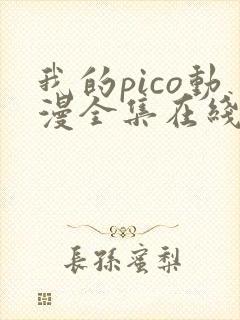 我的pico动漫全集在线观看