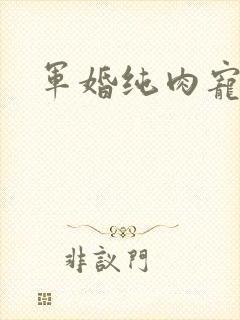 军婚纯肉宠文