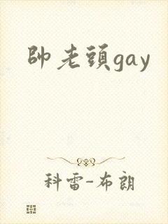 帅老头gay封面