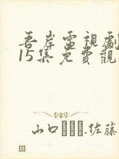 吾岸电视剧全集15集免费观看封面