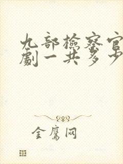 九部检察官电视剧一共多少集封面