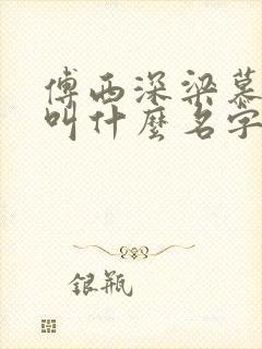 傅西深梁慕小说叫什么名字封面