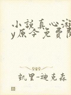 小说真心游戏by原今免费阅读