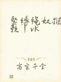 紧缚绳奴捆绑调教丨vk