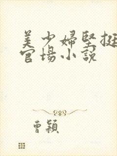 美少妇坚挺雪白官场小说封面