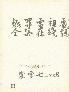 燃罪电视剧免费全集在线观看高清
