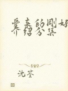爱来的刚好剧情介绍分集