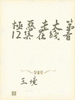 极恶老大第2季12集在线看视频