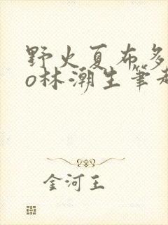 野火夏布多昂po林潮生笔趣阁封面