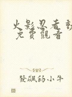 火影忍者 动漫 免费观看