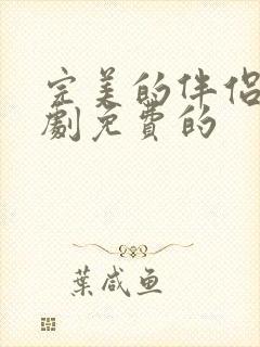 完美的伴侣电视剧免费的