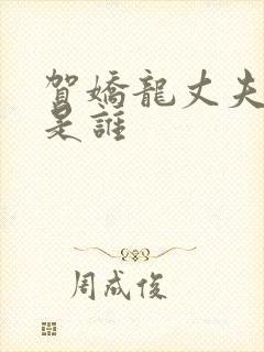 贺娇龙丈夫分别是谁封面