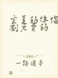 完美的伴侣电视剧免费的