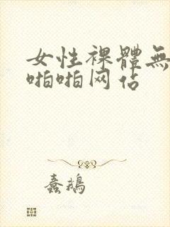 女性裸体无遮挡啪啪网站