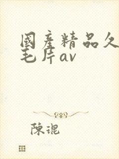 国产精品久久久毛片av封面