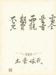 不期而爱电视剧免费观看全集剧情