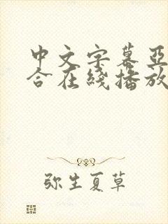 中文字幕亚洲综合在线播放